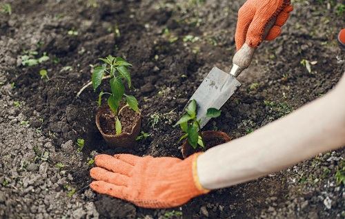 1650425394777744.png image.png