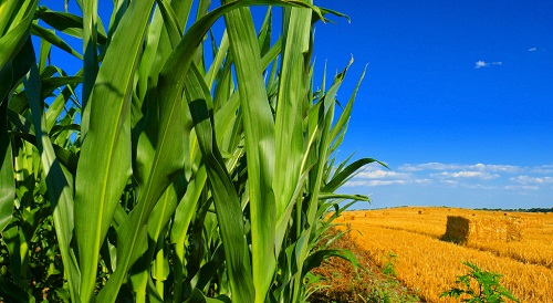 1671088871144668.png image.png