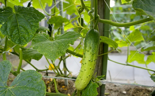 1675318225142895.png image.png