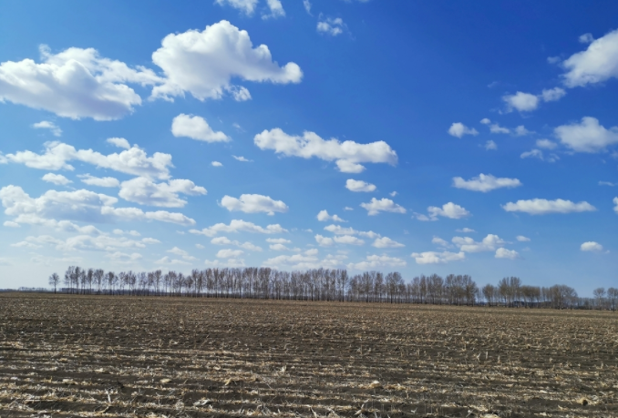 1680163455568158.png 1680163455568158.png